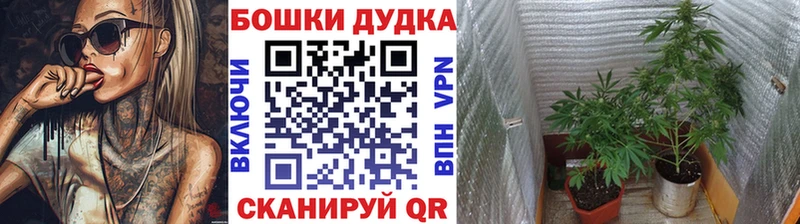 Где найти наркотики Полярные Зори ГЕРОИН Alpha PVP Меф мяу мяу Канабис
