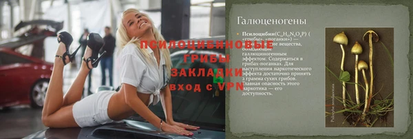 сатива Армянск