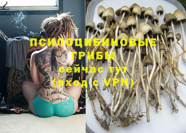 прущая мука Лагань