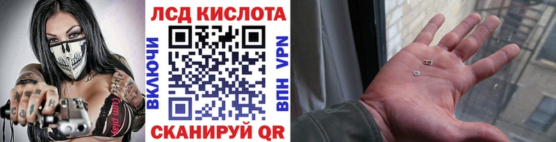 как найти   Полярные Зори  Марки N-bome 1,5мг 